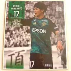 松本山雅 ハッピーくじ限定品 フルカラープレーヤーズ色紙 17番 山本龍平選手