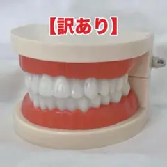 Item thumbnail for item 565638e1-65b6-427b-8cdd-7b6c06876818