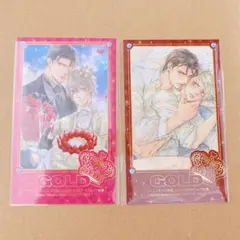ビーボーイGOLD アニメイト特典　ファインダーシリーズ　やまねあやの
