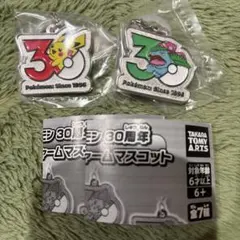 即日発送　匿名ポケモン30周年メタルチャームマスコット ピカチュウ フシギバナ