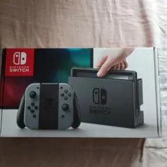 Nintendo Switch 本体 グレー 付属品あり