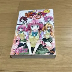 To LOVEる -とらぶる- ダークネス 20周年特典 袋とじ クリアファイル