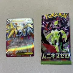 メガエアームドex