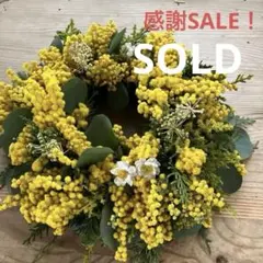 感謝SALE!もりもりミモザのリース　26㎝　銀葉アカシア　花かんざし　春