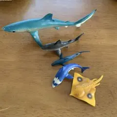 ヨシキリザメ　ホホジロザメ　カイザーブルー　ガンギエイ　ミニフィギュア5個セット
