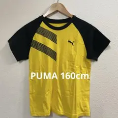 値下げプーマ160cm Tシャツ　PUMA黒×黄色