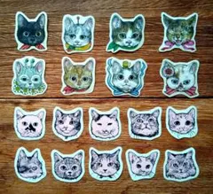 Item thumbnail for item c7e352c9-bfd0-49e1-9e6a-14d78300b5a9