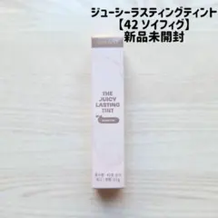 rom&nd ロムアンド ジューシーラスティングティント 42 ソイフィグ 新品