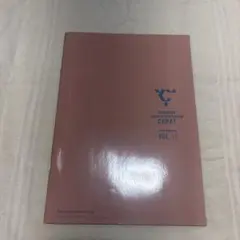 SEVENTEEN CARAT MAGAZINE VOL.11