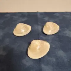 ハマグリ 貝殻　3個セット