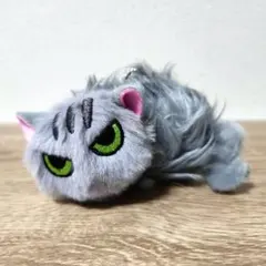 なつかない猫 ぬいぐるみ 本屋さんの猫