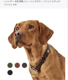 Item thumbnail for item be0ac472-777b-4ee1-90ae-29cd098619d5