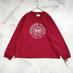 M18264 未使用 マックレガー　空紡糸天竺プリント長袖Tシャツ　3L