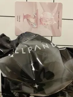 SKULLPANDA The Paradox シリーズ　Flying High