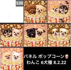 オーダーページ パネル ポップコーンわんこ 6犬種 8.2.22