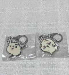 うさぎ アクリルキーホルダー ガチャガチャ 2個セット