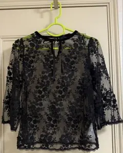 axes femme シースルーベロアブラウス