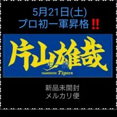 阪神タイガース片山雄哉実使用ユニホーム 2025年最新】片山雄哉の人気アイテム - メルカリ