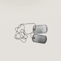 trendtvision Dog Tag Chain 新品未使用