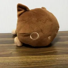 サンエックスユニバース チョコレートカラーぬいぐるみBIG 靴下にゃんこ