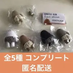 おぱんつ君 フィギュアコレクション 全5種 コンプリート セット