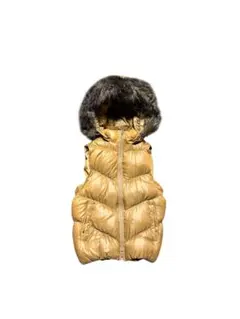 Item thumbnail for item 309af1ef-b3cb-4dcb-ba4f-1c6c92a72606