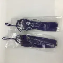 Item thumbnail for item 2468e4f6-a2a8-4345-867b-6ff58574c497