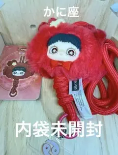 Maymei 十二星座 | TikTok 【レア‼️シークレット】maymei星座シリーズ