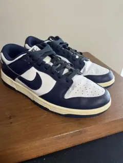 28cmNike Women's Dunk Low 