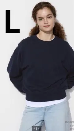 Item thumbnail for item 8057a586-2ffd-4209-bca7-b79c6359d664