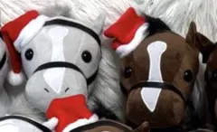 ゆゆ※プロフ読んでください※様専用