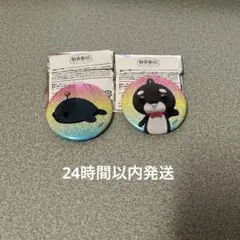 教育番組 缶バッジ 退化 しゃちょう