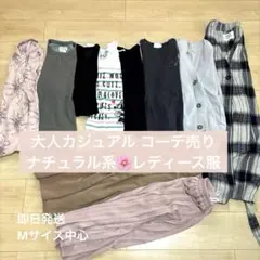 【美品】 大人カジュアル 春 10点 レディース服 まとめ売り 一週間コーデ