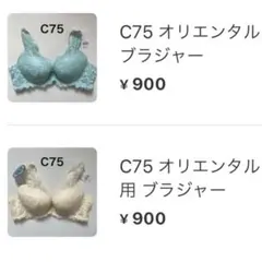 みっちゃん様 900円、2点で200円引きです♪リクエスト 2点 まとめ商品