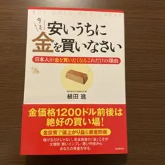 これ以上やさしく書けない金投資入門 