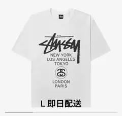 Stussy World Tour Tee 