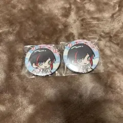 CRうるか 缶バッジ 2枚セット