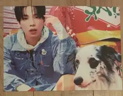 ソゴン　saucin' yellow ver. ポスター　nexz sogeon