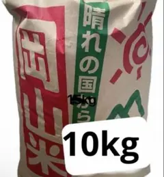 耐火石膏 サンエス鋳造用石膏キャスターY 20kg - メルカリ