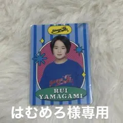 はむめろ様専用