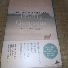 地上で僕らはつかの間きらめく