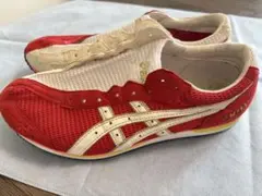 asics アシックス　ソーティージャパン　TMM445