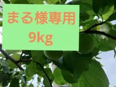 まる様専用　9kg