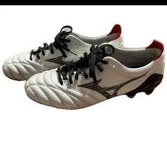 2025年最新】モレリアネオ4 25.5の人気アイテム - メルカリ