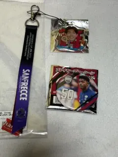 ヴィッセル神戸 vs サンフレッチェ広島 マッチデーボンフィン 宮代大聖 選手