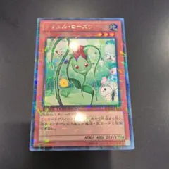 遊戯王 ナチュル・ローズウィップ 字レア DTC2-JP011 2枚セット - メルカリ