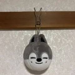 バンチャン ウルフチャン うちわ バッグチャーム 他 グッズ まとめ売り 2025年最新】ウルフチャン バッグチャームの人気アイテム - メルカリ