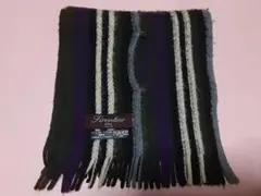 Item thumbnail for item 8258d987-650d-4daf-a72c-3576667d00f0