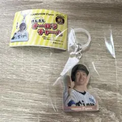 阪神タイガース　めじるし　チャーム　近本