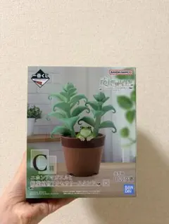 一番くじ 爬虫類＆両生類 C賞 ニホンアマガエルと観葉植物アクセサリー